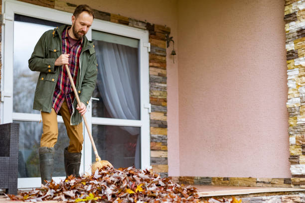 Best Furniture Removal Near Me  in North Zanesville, OH